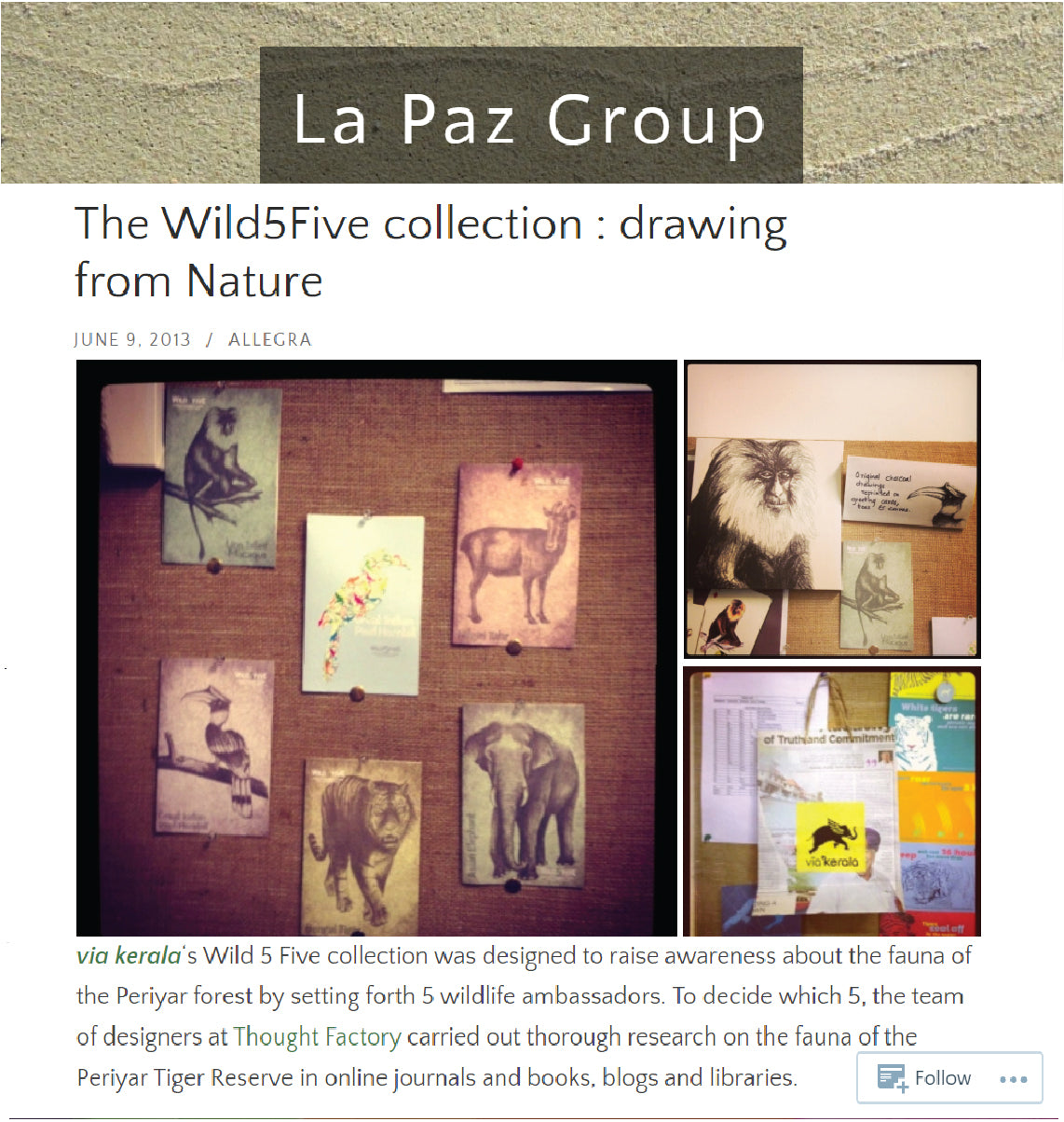 The Wild5Five Collection : Drawing from Nature