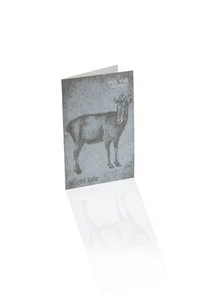 stationary