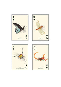 Wild 5 Five - Playing Cards