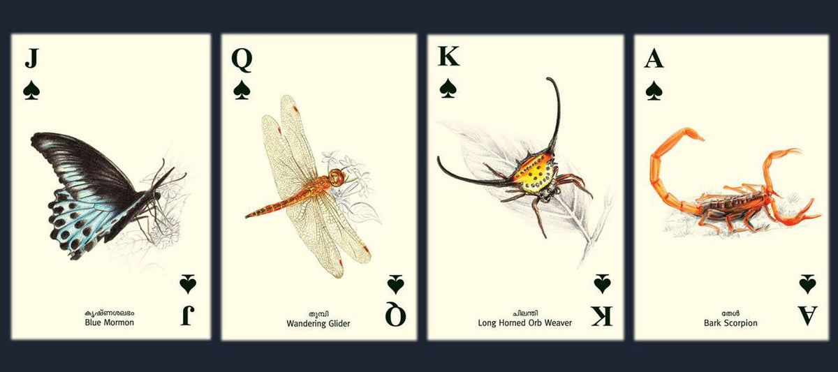 Wild 5 Five - Playing Cards