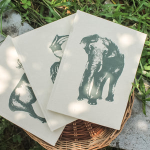 Wild 5 Five - Journal